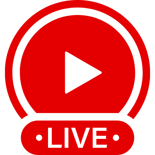 Vixenp Stripchat | Live Webcam Shows & Interactive Adult Entertainment